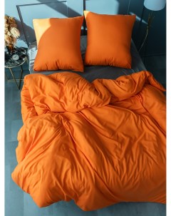 Комплект постельного белья Манетти полисатин однотонный 2 спальный S19 Pavlina