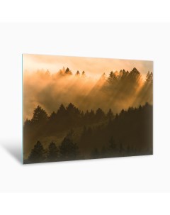 Картина Лес на закате AG 40 77 40х50 см на стекле Postermarket