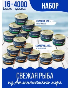 Скумбрия с маслом и сардина 250 г х 16 шт Балтфлотъ