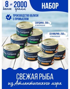 Скумбрия с маслом и сардина 250 г х 8 шт Балтфлотъ