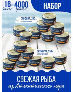 Скумбрия и сардина с маслом 250 г х 16 шт Балтфлотъ