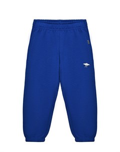 Спортивные брюки Adan Reef Blue Molo