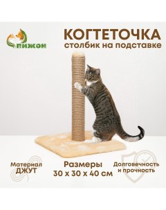 Когтеточка Пижон