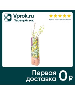 Саженцы Gulf Flowers Крыжовник юбилейный Галф флауэрс фзко