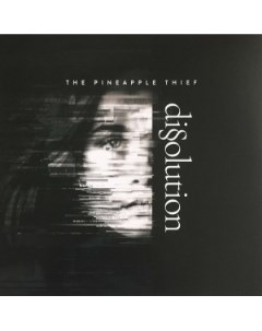 The Pineapple Thief Dissolution Kscope