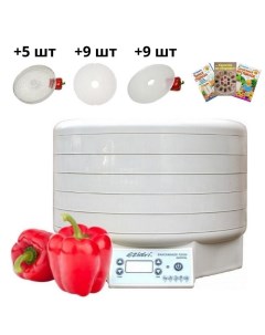 Сушилка для овощей и фруктов Snackmaker FD500 Digital белая Ezidri