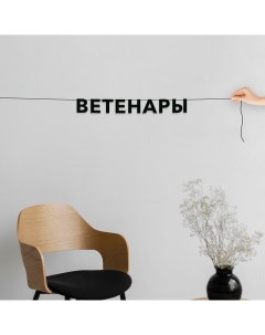 Гирлянда растяжка Ветенары VN716 черная Nobrand