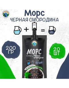 Морс Черная смородина основа 20 шт по 200 г Карельское лето