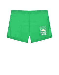 Плавки шорты Norton Solid Bright Green Molo