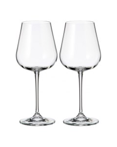 Бокалы для красного вина Ardea Amundsen Red Wine Glass 450 мл 2 шт Crystalite bohemia