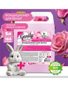 Кондиционер для белья Gently Нежное прикосновение розовый 5 л CG8166 Clean&green