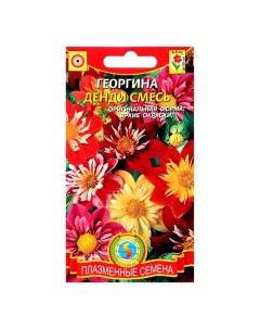 Семена цветов Георгина Денди О 12 шт 2 шт Плазмас