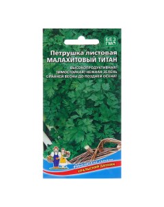 Семена Петрушка Малахитовый титан листовая 2 г 3 шт Уральский дачник