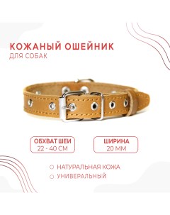 Ошейник для собак бежевый натуральная кожа обхват шеи 22 40 см Nobrand