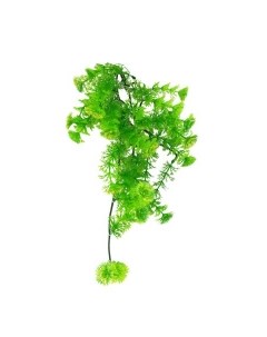 Декоративное растение для террариумов Turtle Plant Horn Fern 40см Германия Lucky reptile