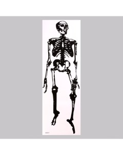 Наклейка 3Д интерьерная Скелет 90 30см Nobrand