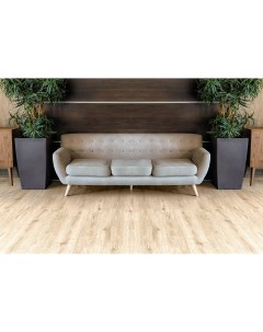 Виниловый ламинат Easy Line ECO3 4 Дуб Ваниль 1219х184х3 мм Alpine floor