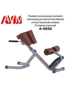 Разгибание спины римская скамья гиперэкстензия AVM A A036 Avm active sport