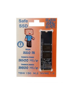 Твердотельный накопитель 250Gb ST250E19T Safe