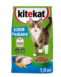 Сухой полнорационный корм для взрослых кошек Улов рыбака 1 9 кг Kitekat
