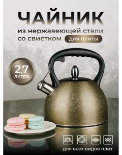 Чайник для плиты из нержавеющей стали 2 7л Astix