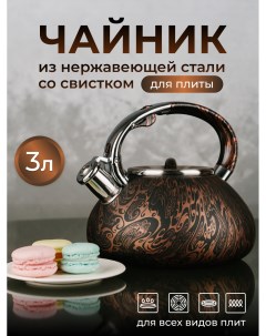 Чайник для плиты из нержавеющей стали 3л Astix