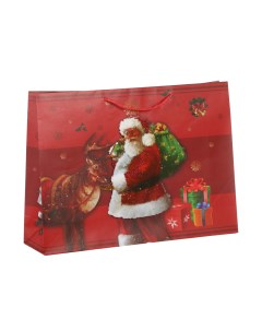 Пакет подарочный 33 x 12 x 45 5 см Babbo natale 3D Due esse christmas