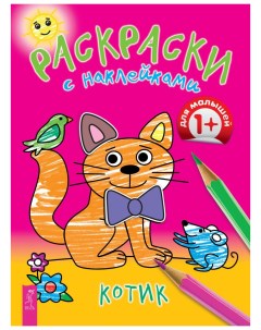 Раскраски с наклейками Котик Ves