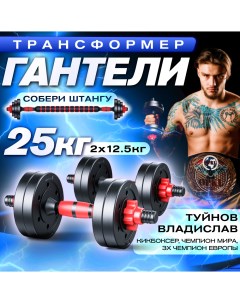 Гантели разборные 25 кг 2 шт по 12 5 кг штанга 2 вида дисков Sportolympic