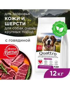 Сухой корм для собак Большие породы премиум для кожи и шерсти говядина 12 кг Quattro