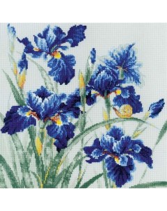 Набор для вышивания Синие ирисы Риолис