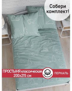 Простынь Котики мята 200х215 см Cказка