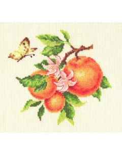 Набор для вышивания Ветка апельсина Многоцветница