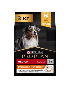 Everyday Nutrition Сухой корм для взрослых собак средних пород с курицей 3 кг Pro plan