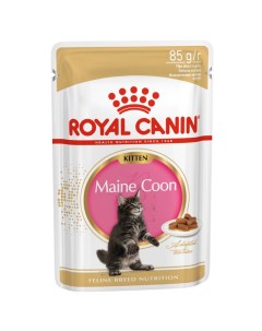 Корм для котят Kitten Мейн Кун в соусе пауч 85г Royal canin