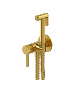 Гигиенический душ со смесителем Y брашированное золото Omnires