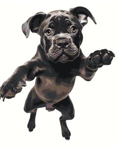 Картина по номерам Собака Кане корсо щенок в прыжке Цветное