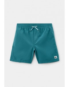 Шорты для плавания Quiksilver