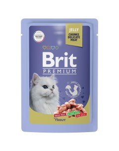 Premium пауч для взрослых кошек форель в желе 85 гр Brit*