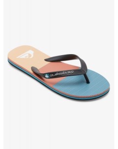 Мужские сланцы Molokai Stripe Quiksilver