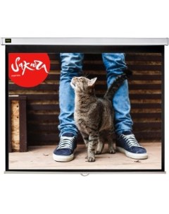 Экран для проектора 200x150 Wallscreen 4 3 настенно потолочный 99 Sok