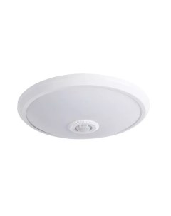 Настенный потолочный светильник FOGLER LED 14W NW 18121 Kanlux