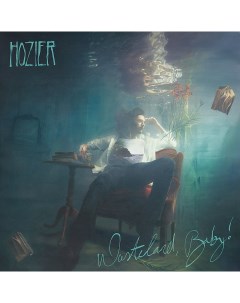 Рок Hozier Wasteland Baby RSD2024 5th Anniversary Ultra Clear Transparent Green Vinyl 2LP Sony music