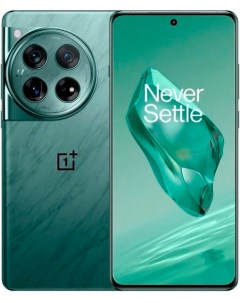 Смартфон OnePlus 12 12 256Gb Global Flowy Emerald Oneplus