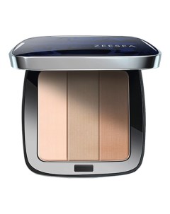 SCULPTING CONCEALER POWDER Пудра для лица скульптурирующая Zeesea