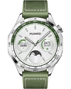 Умные часы Huawei Watch GT 4 (Phoinix-B19W) Silver/Green