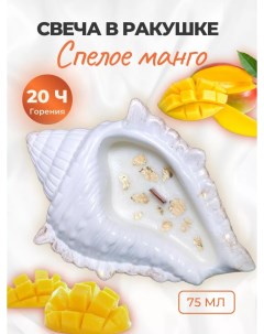 Ароматическая свеча ракушка в гипсе манго Formara