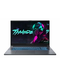 Ноутбук Plus NX серый 911Plus i7136H4060W16G1TQ165HMG Thunderobot