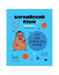 Тетрадь предметная Записки школьника - Английский язык, 40л Bg