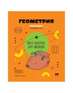 Тетрадь предметная Записки школьника - Геометрия, 40л Bg